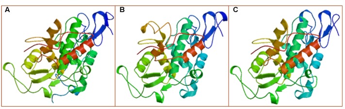 FIGURE 2