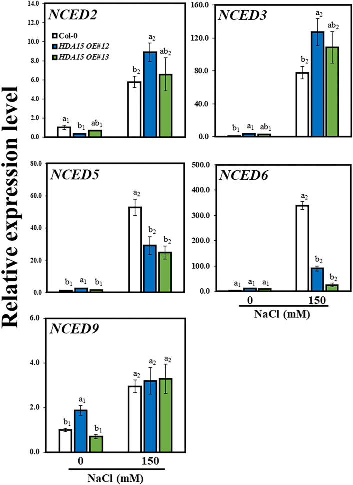 Figure 5