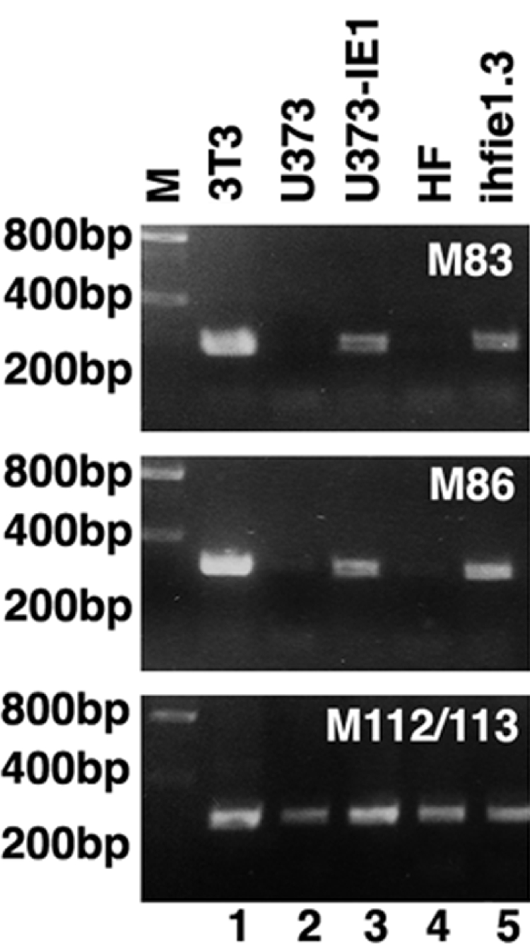 FIG. 7.