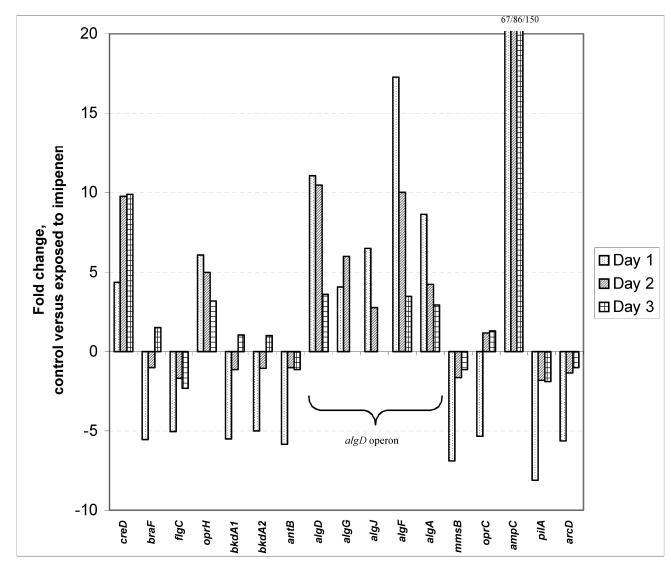 FIG. 1.