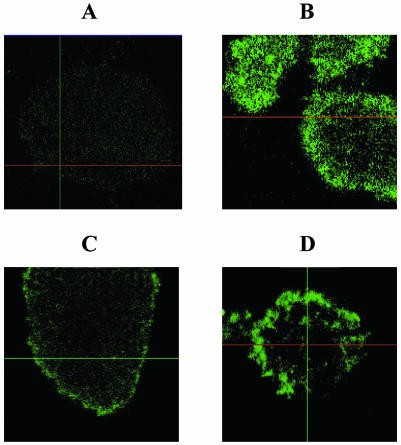 FIG. 6.