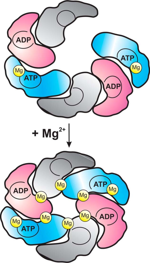 FIGURE 5.