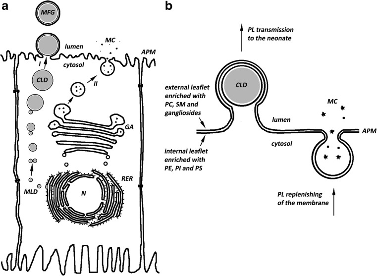 Fig. 3