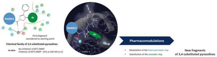graphic file with name pharmaceuticals-12-00073-i032.jpg