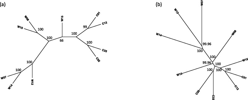 Fig. 8.