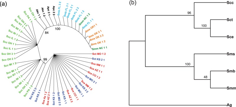 Fig. 7.