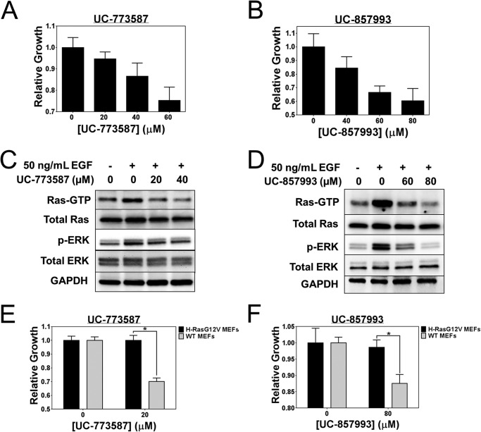 FIGURE 13.