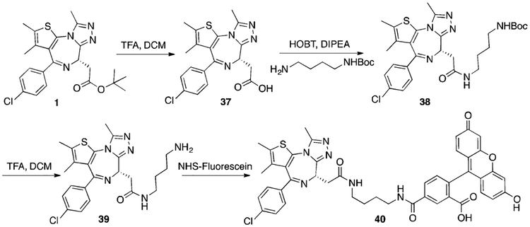 Scheme 6.