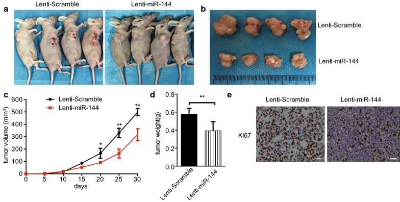 Fig. 6