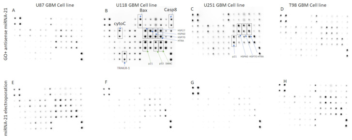 Figure 18