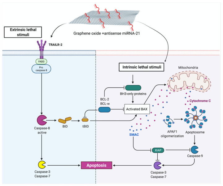 Figure 19