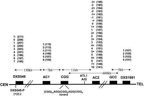 Figure  1