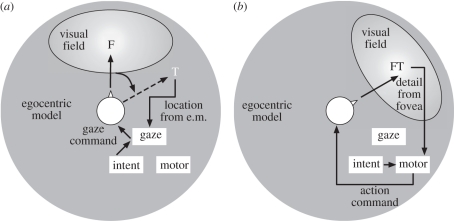 Figure 11.