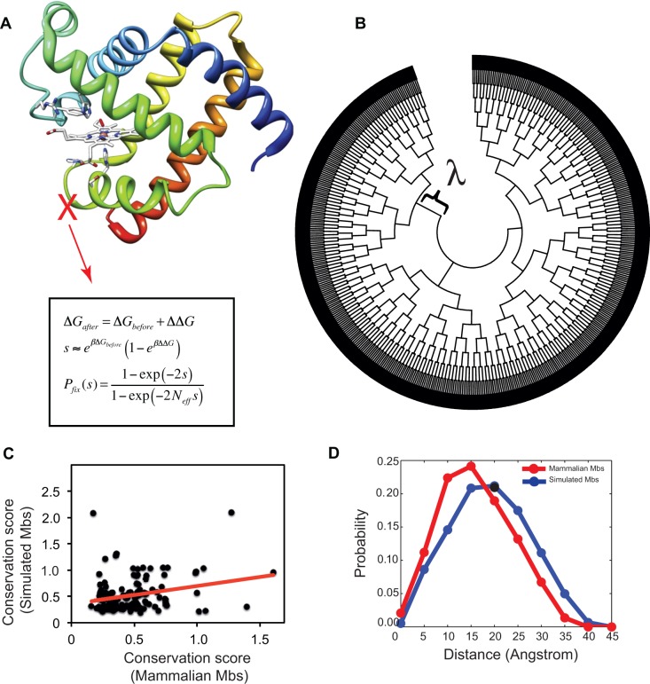 Fig. 1.—