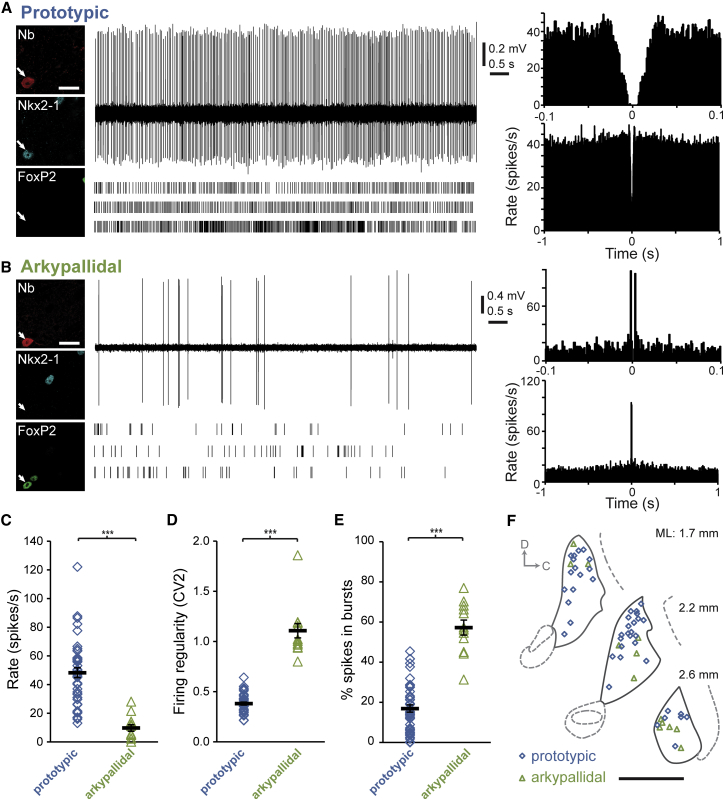 Figure 4