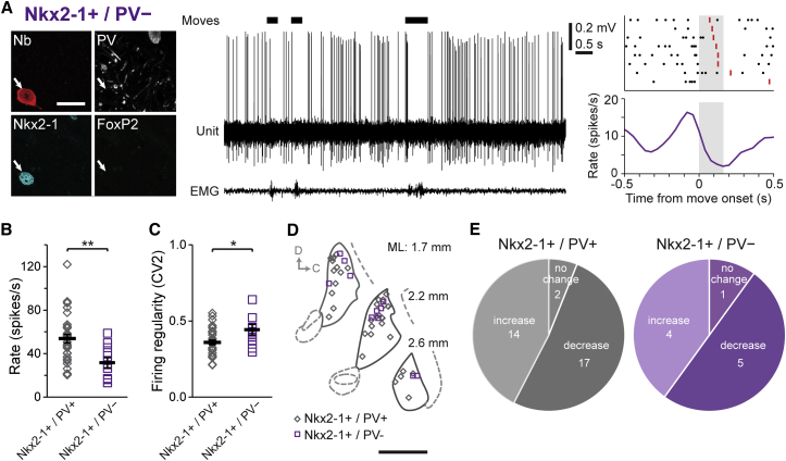 Figure 6