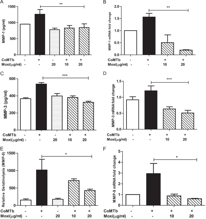 FIG 2