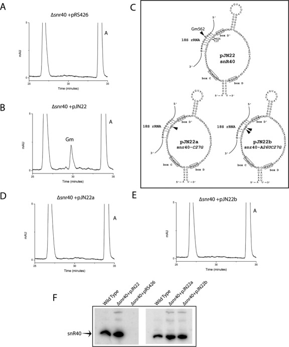 Figure 5.