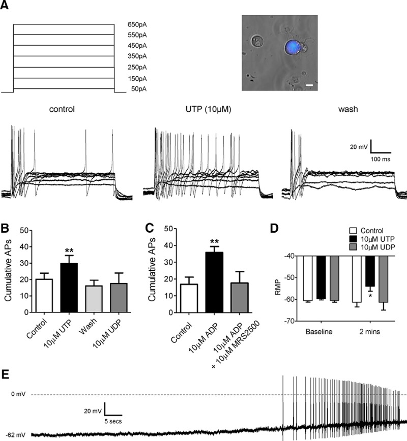 Figure 1.