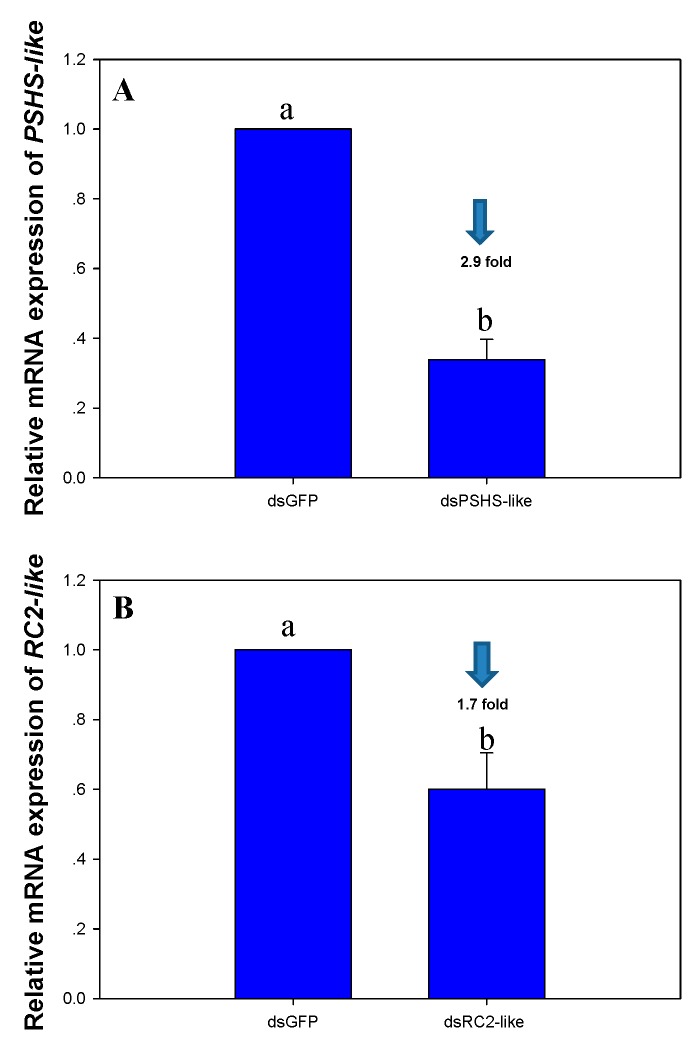 Figure 10