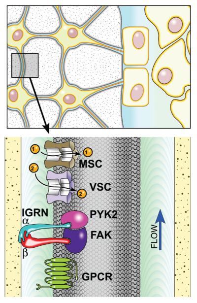 FIGURE 12