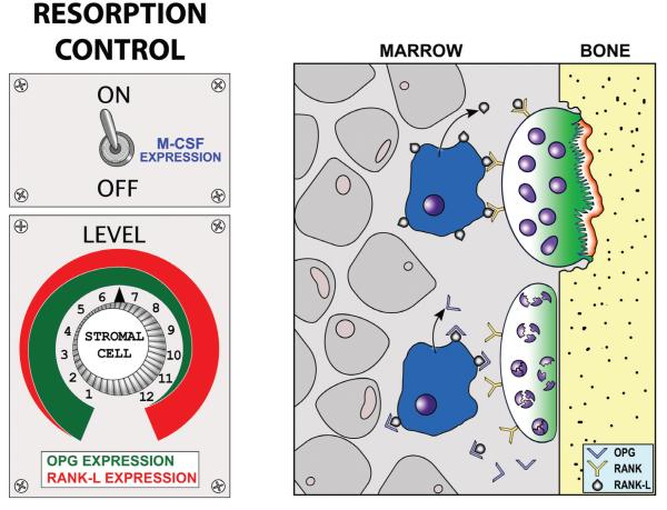 FIGURE 14