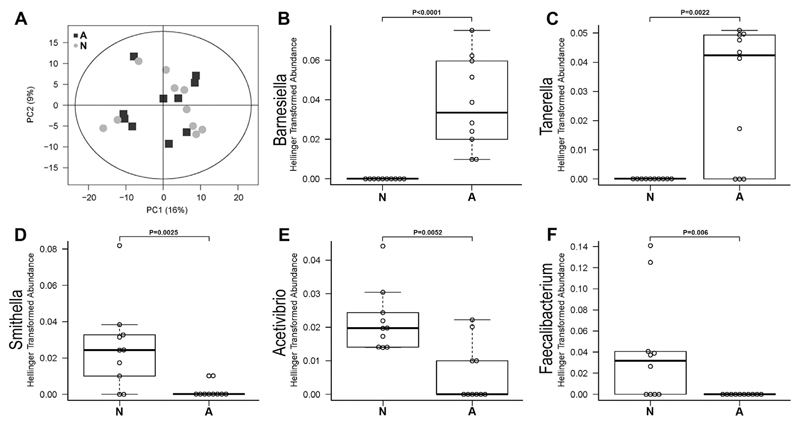 Fig. 8