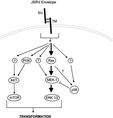 FIG. 7.