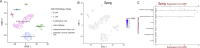 Supplemental Figure S1