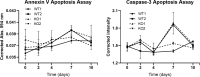 Supplemental Figure S3