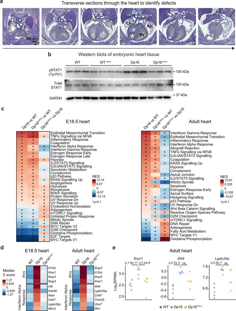 Extended Data Fig. 4