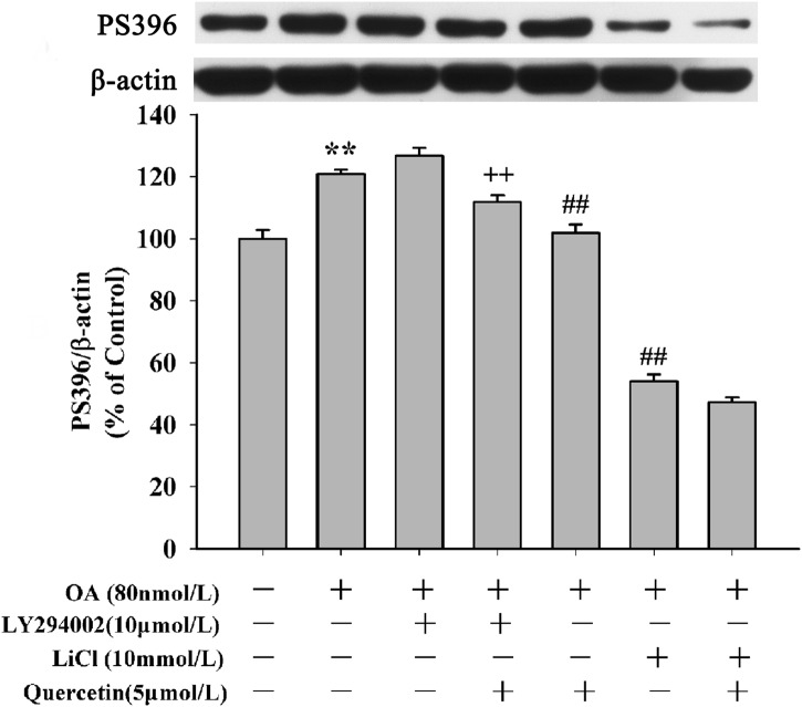 Fig 11