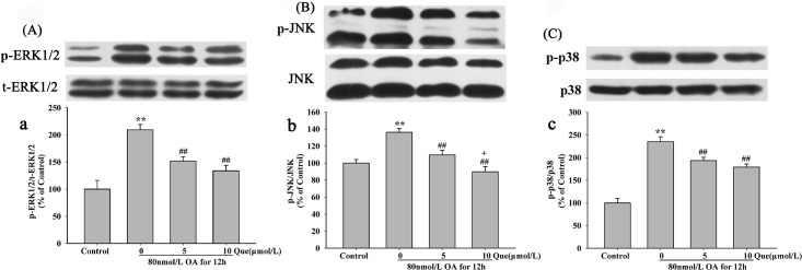 Fig 12