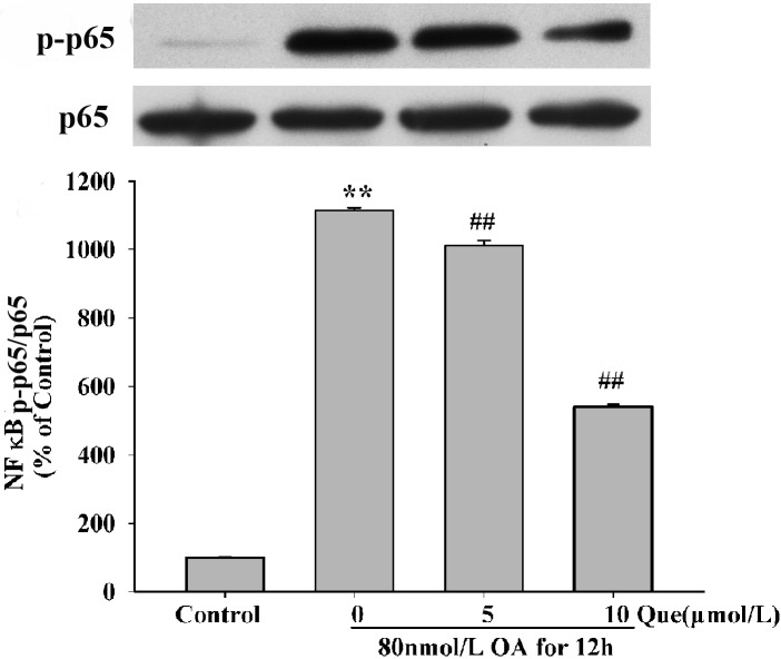 Fig 13