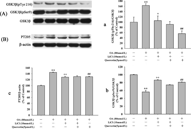 Fig 10