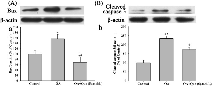 Fig 8