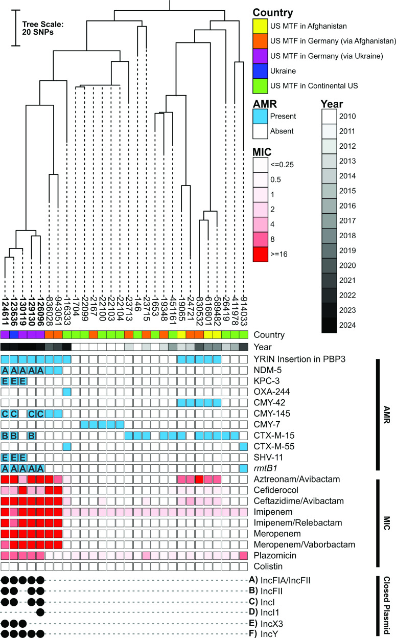 Phylogenetic tree with AMR profiles, MIC values, plasmid types, and geographic origins, highlighting the distribution of carbapenemases and other resistance genes across samples from different countries and years.