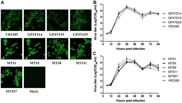 Figure 5