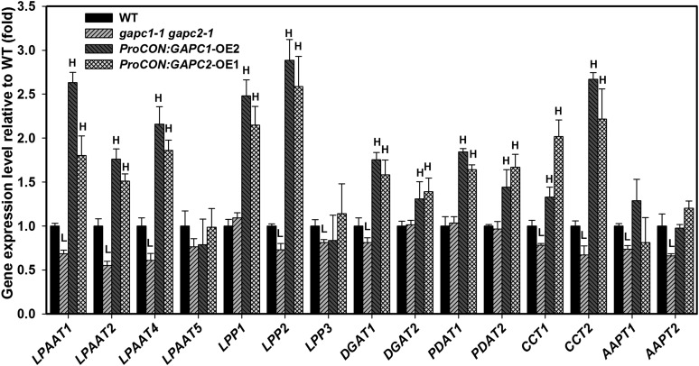 Figure 6.