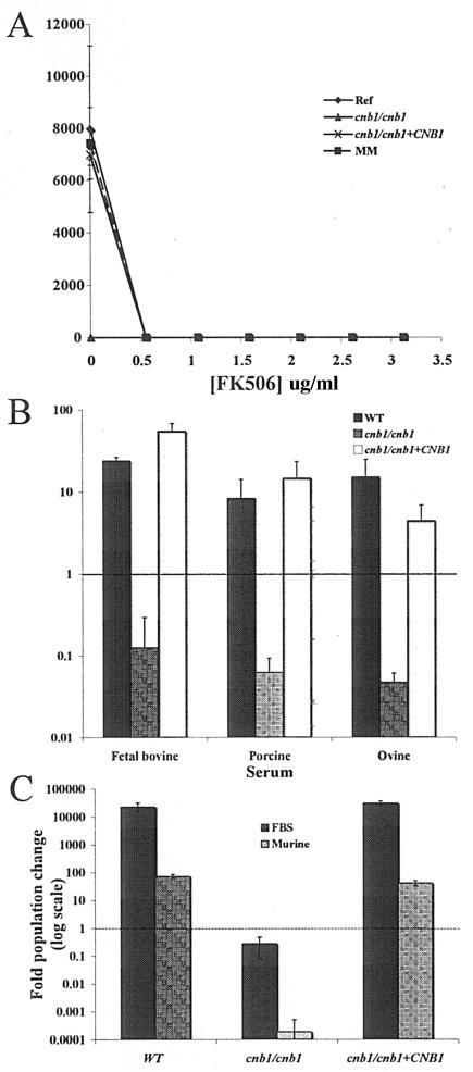 FIG. 1.