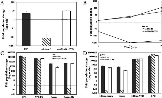 FIG. 2.