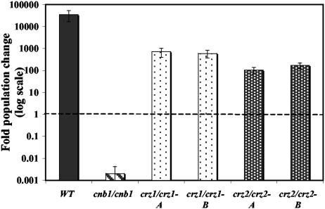 FIG. 5.