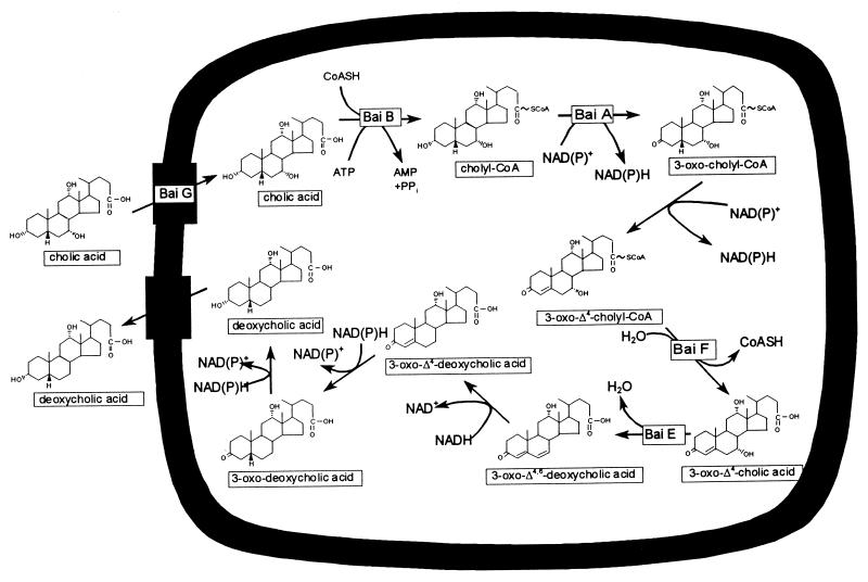 FIG. 6