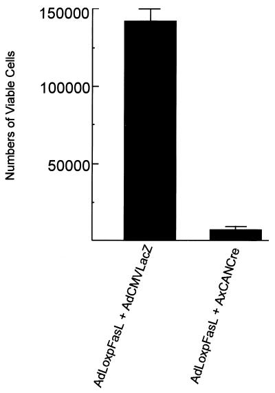 FIG. 5