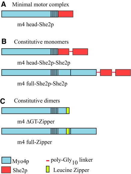 Figure 5.