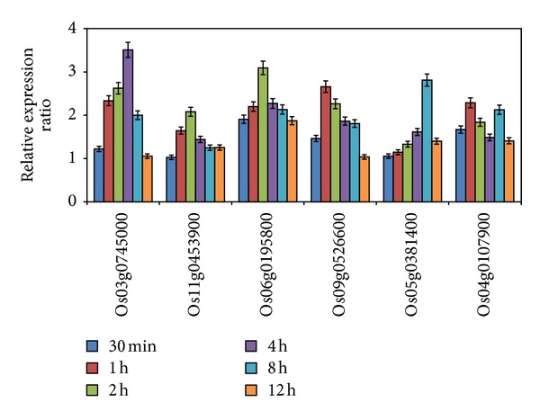 Figure 5