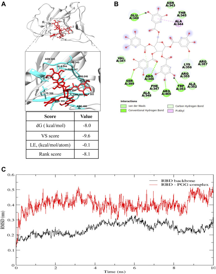 FIGURE 1