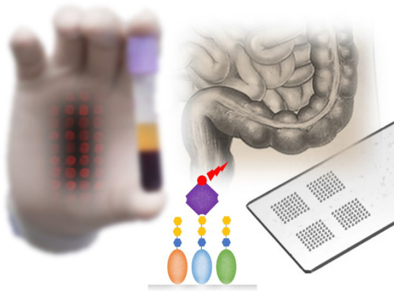 Graphical Abstract