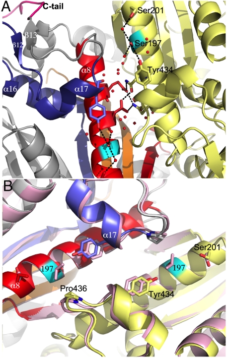 Fig. 3.