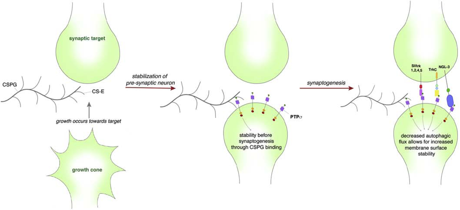 Figure 3: